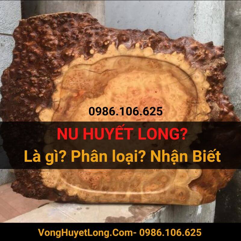Gỗ Nu huyết long